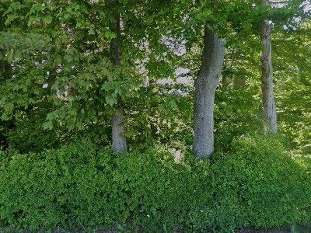 Erhvervsejendom til leje i Ringsted