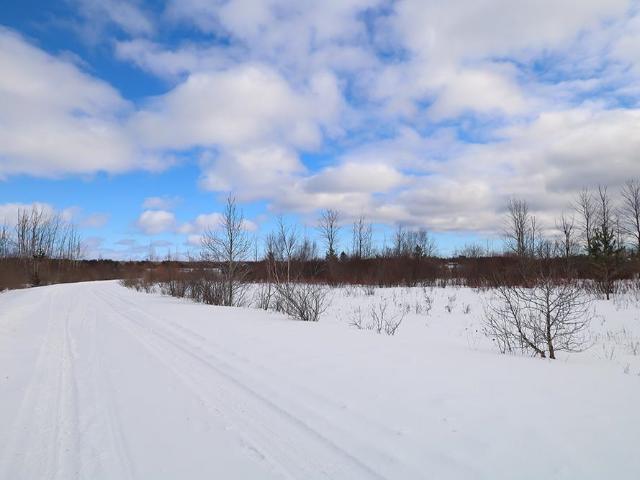 Land for sale in Michigan
