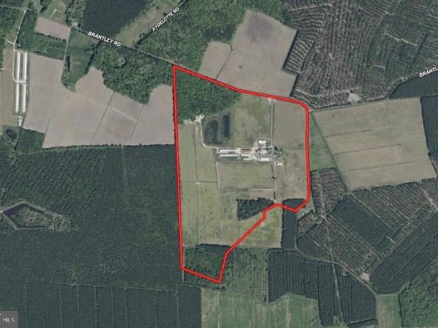 Farm for sale in Pocomoke City, Maryland