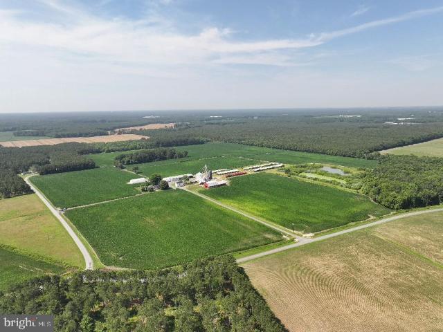 Farm for sale in Pocomoke City, Maryland