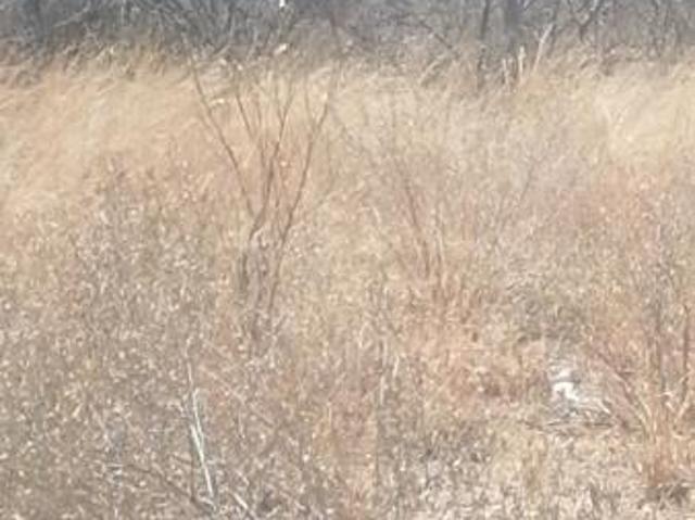 Land for sale in Greater Tubatse Municipality, Limpopo