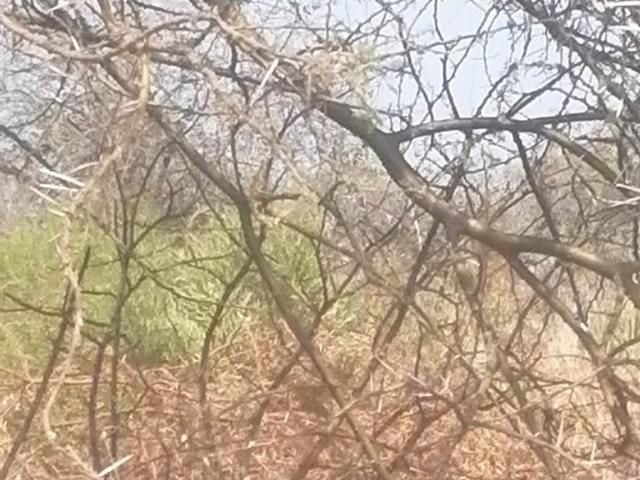 Land for sale in Greater Tubatse Municipality, Limpopo
