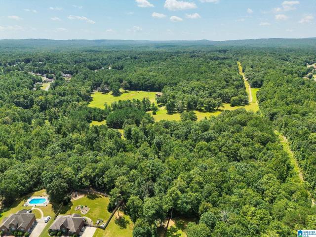 Land for sale in Chelsea, Alabama