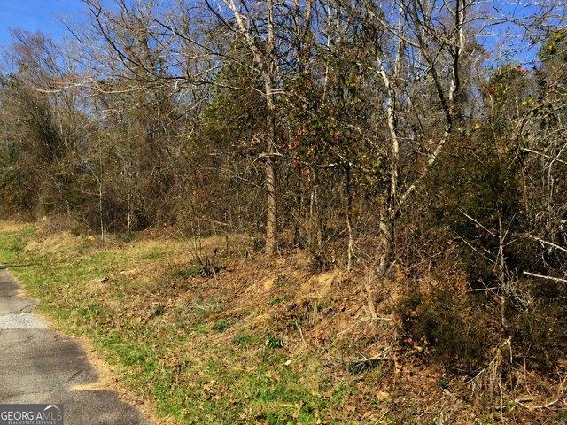 Land for sale in Mansfield, Georgia