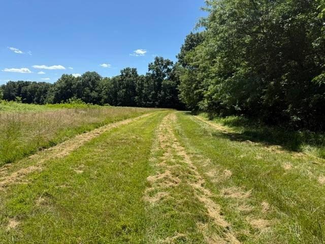 Land for sale in Laddonia, Missouri