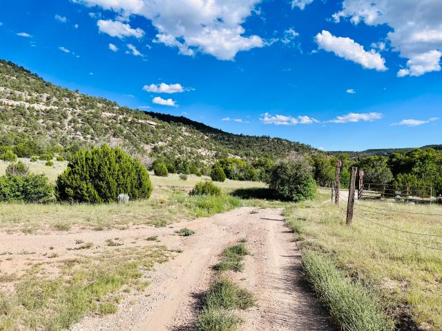 Land for sale in New Mexico