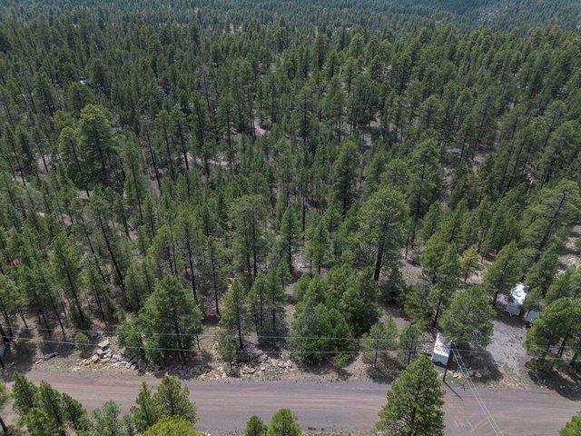 Land for sale in Happy Jack, Coconino County