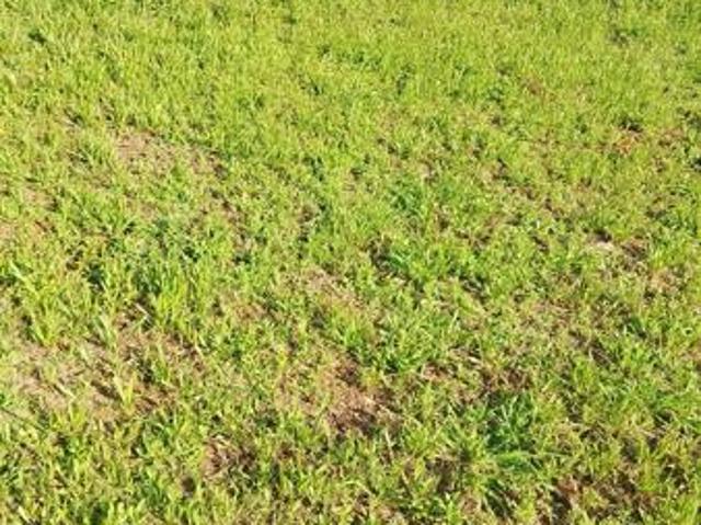 Land for sale in North West