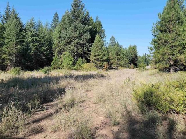 Land for sale in Newport, Washington