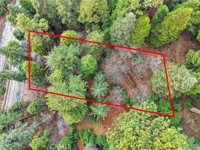 Land for sale in Cedar Glen, California