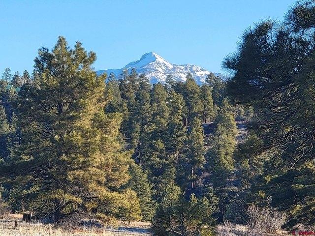 Land for sale in Pagosa Springs, Archuleta County