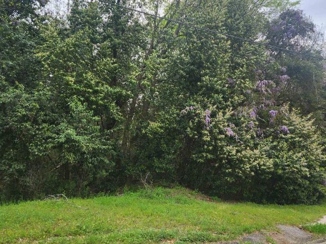 Land for sale in Columbia, South Carolina