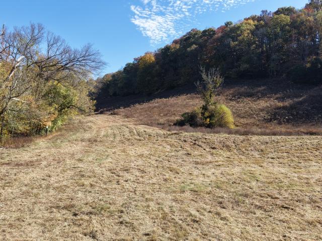 Farm for sale in Middle Tennessee, Tennessee