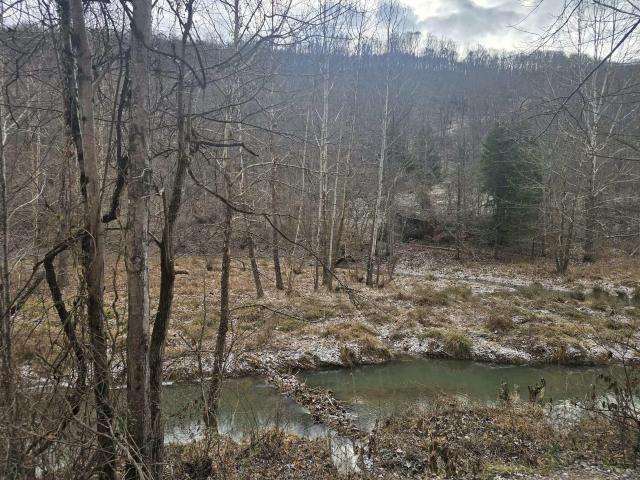 Land for sale in Tennessee