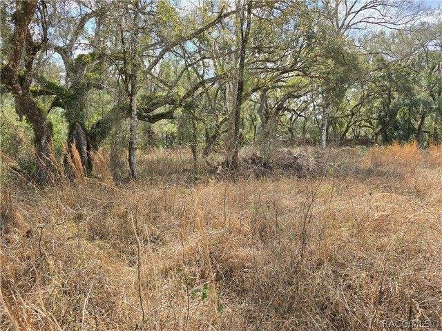 Land for sale in Webster, Florida