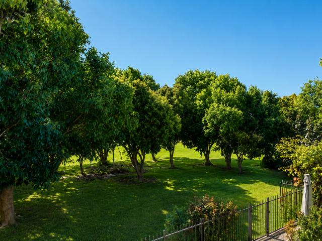 Apartment for rent in Kings Creek, Queensland