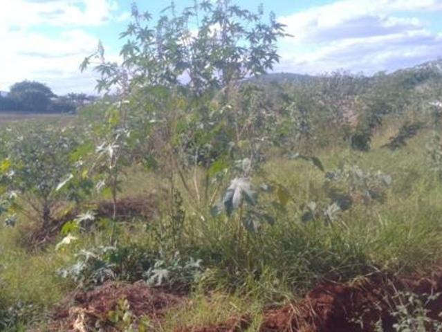 Land for sale in Mopani, Limpopo
