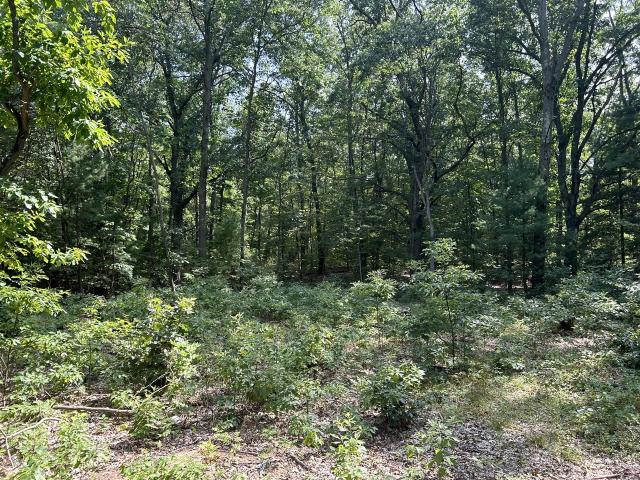 Land for sale in Michigan