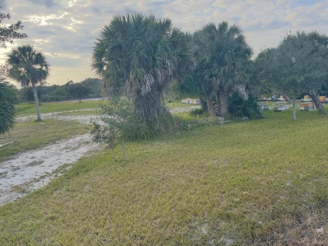 Land for sale in Grant, Florida