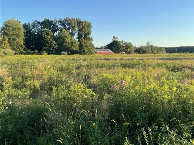 Land for sale in Nunica, Michigan