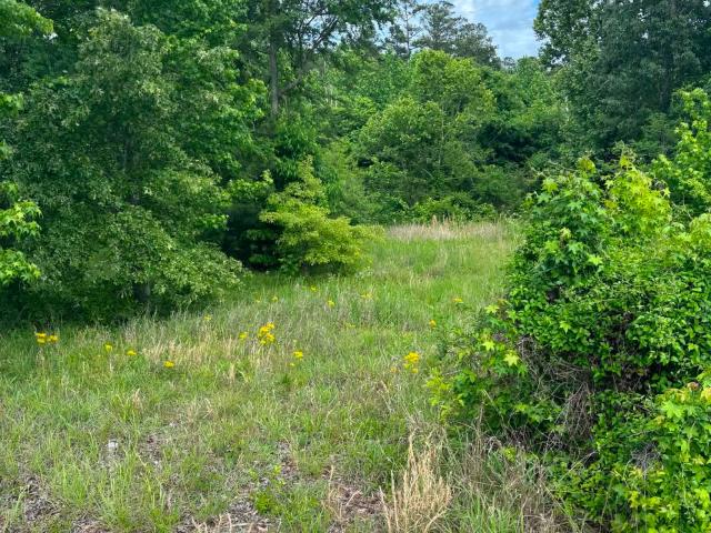 Land for sale in Guntersville, Alabama