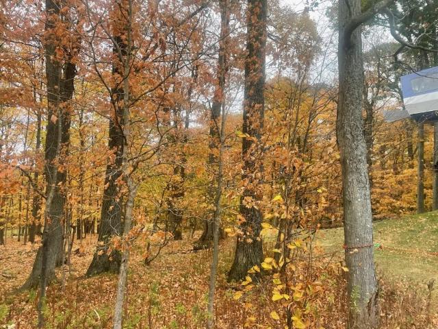 Commercial for sale in Naples, New York