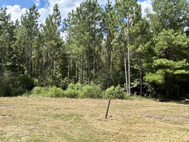 Land for sale in Geneva, Alabama