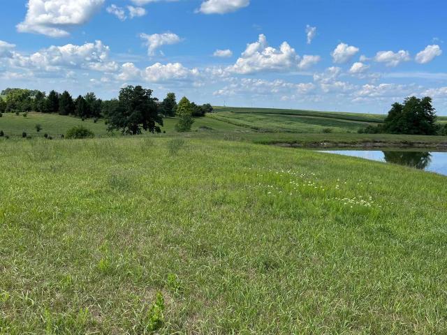 Land for sale in Woodford, Illinois
