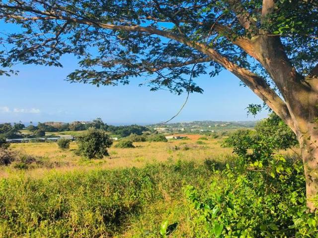 Land for sale in Princess Grant, Kwazulu-natal