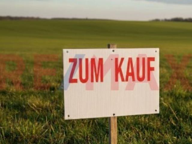 Erdgeschosswohnung kaufen in Monsheim, Rheinland-Pfalz