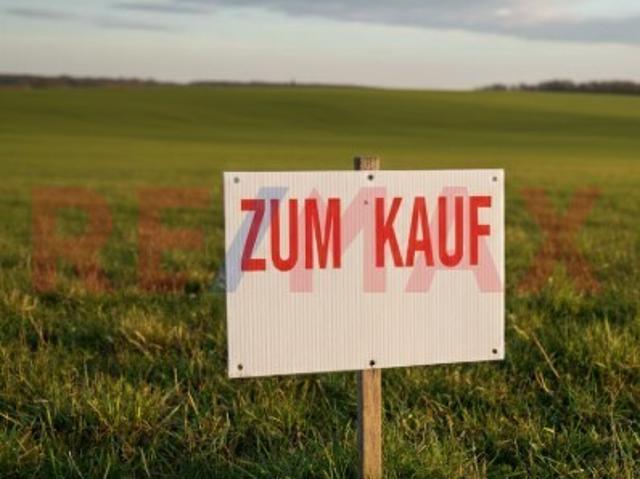Erdgeschosswohnung kaufen in Kriegsheim, Monsheim