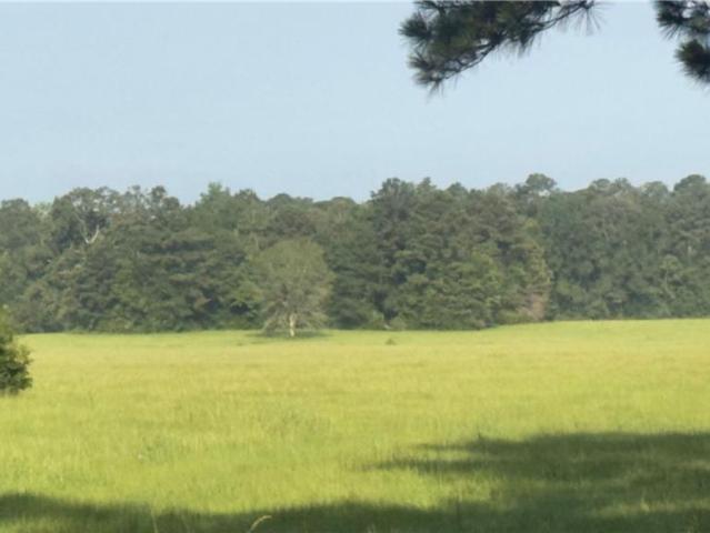 Land for sale in Roseland, Louisiana