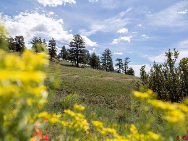 Land for sale in Creede, Mineral County