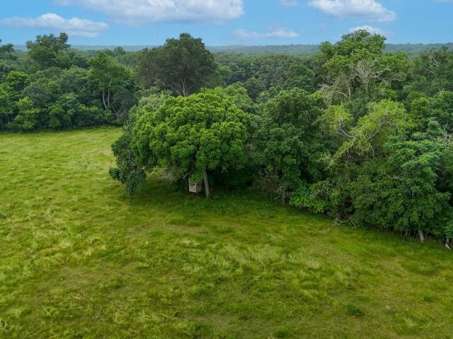 Land for sale in Lockhart, Texas