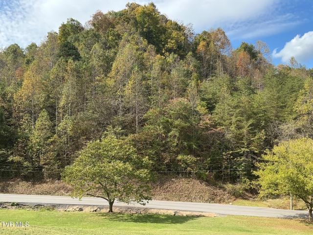 Land for sale in Rogersville, East Tennessee