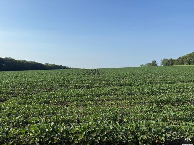 Land for sale in Kansas