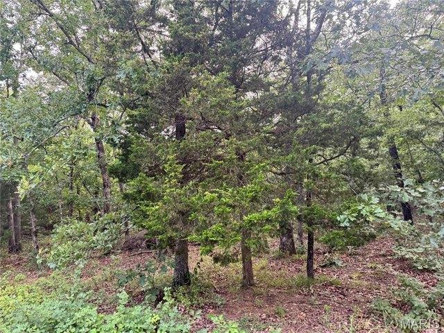 Land for sale in Gerald, Missouri