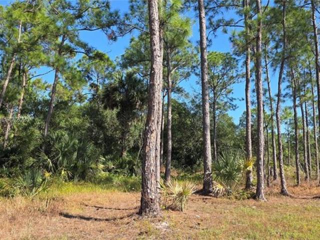 Land for sale in Clewiston, Hendry County