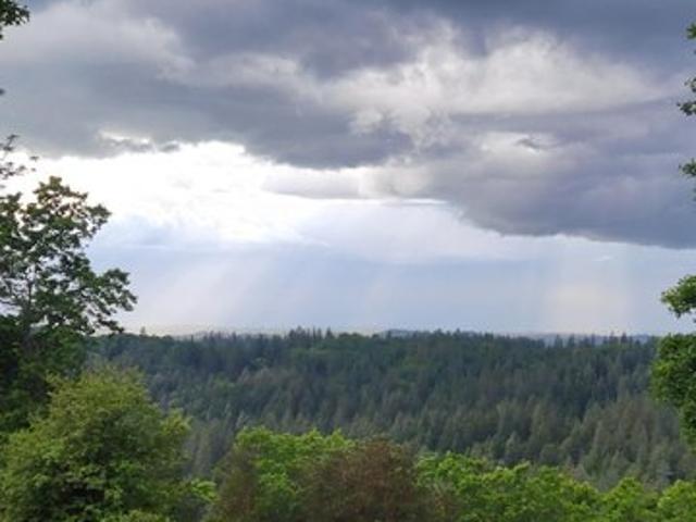 Land for sale in Georgetown, California