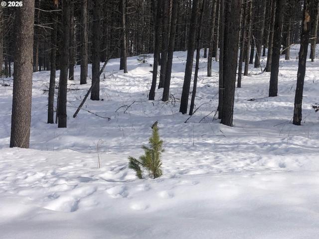 Land for sale in Meacham, Umatilla County