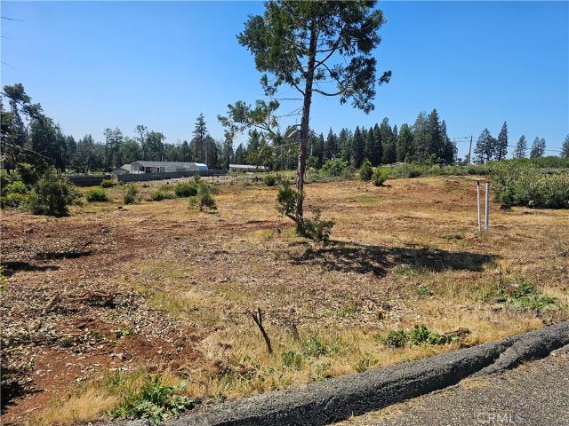 Land for sale in Butte, California