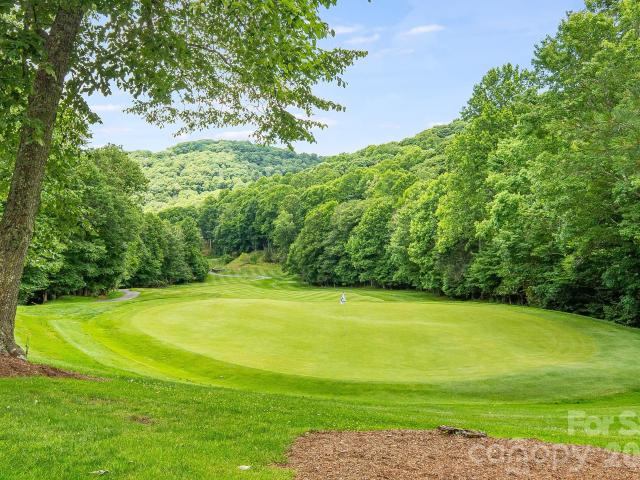 Land for sale in Mars Hill, North Carolina