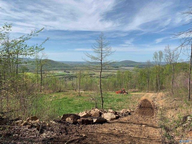 Land for sale in Gurley, Alabama