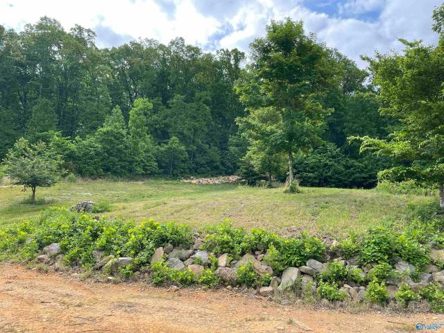 Land for sale in Gurley, Madison County