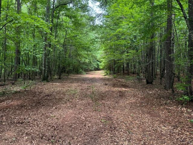 Land for sale in Spalding, Georgia