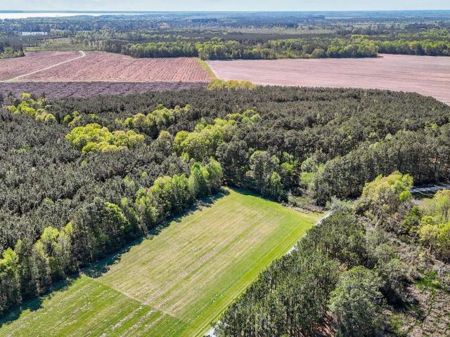 Land for sale in Belhaven, North Carolina