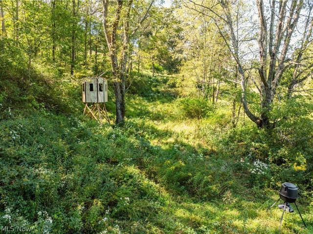 Land for sale in Stone Creek, Tuscarawas County