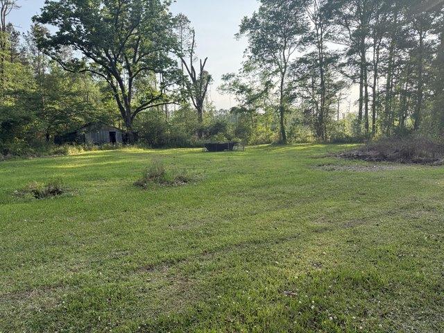 Farm for sale in Stonewall, Mississippi