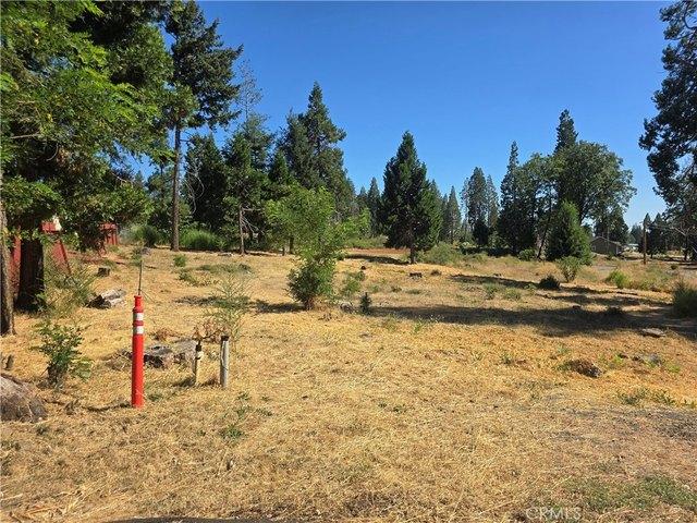 Land for sale in Butte, California