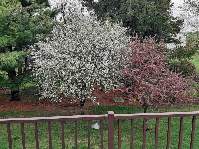 House for sale in Goshen, Indiana